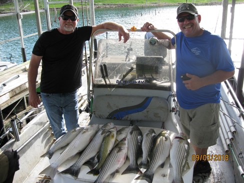 Nice Striped Bass